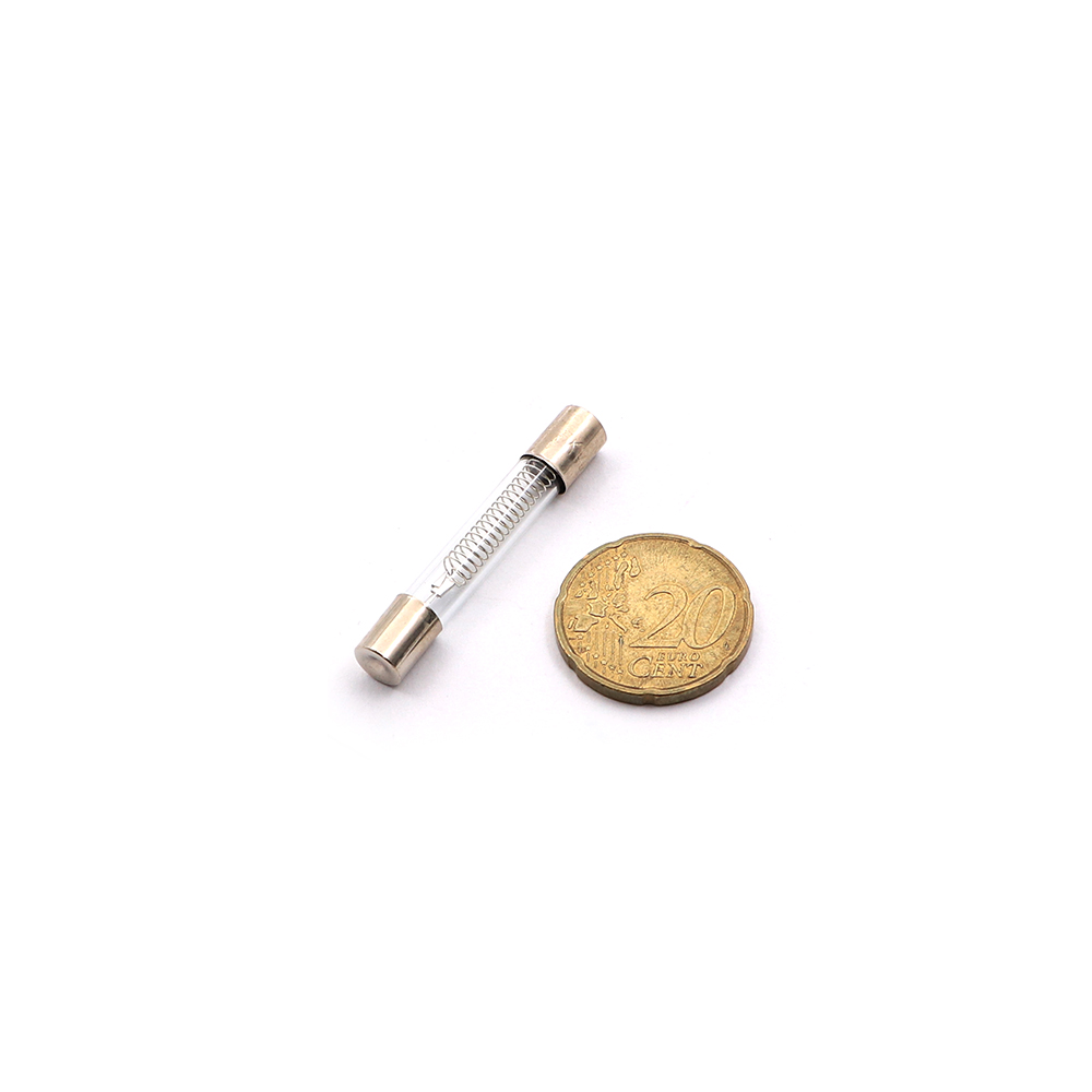 Microwave Fuse | 40x6.5mm | 5000V 0.75A