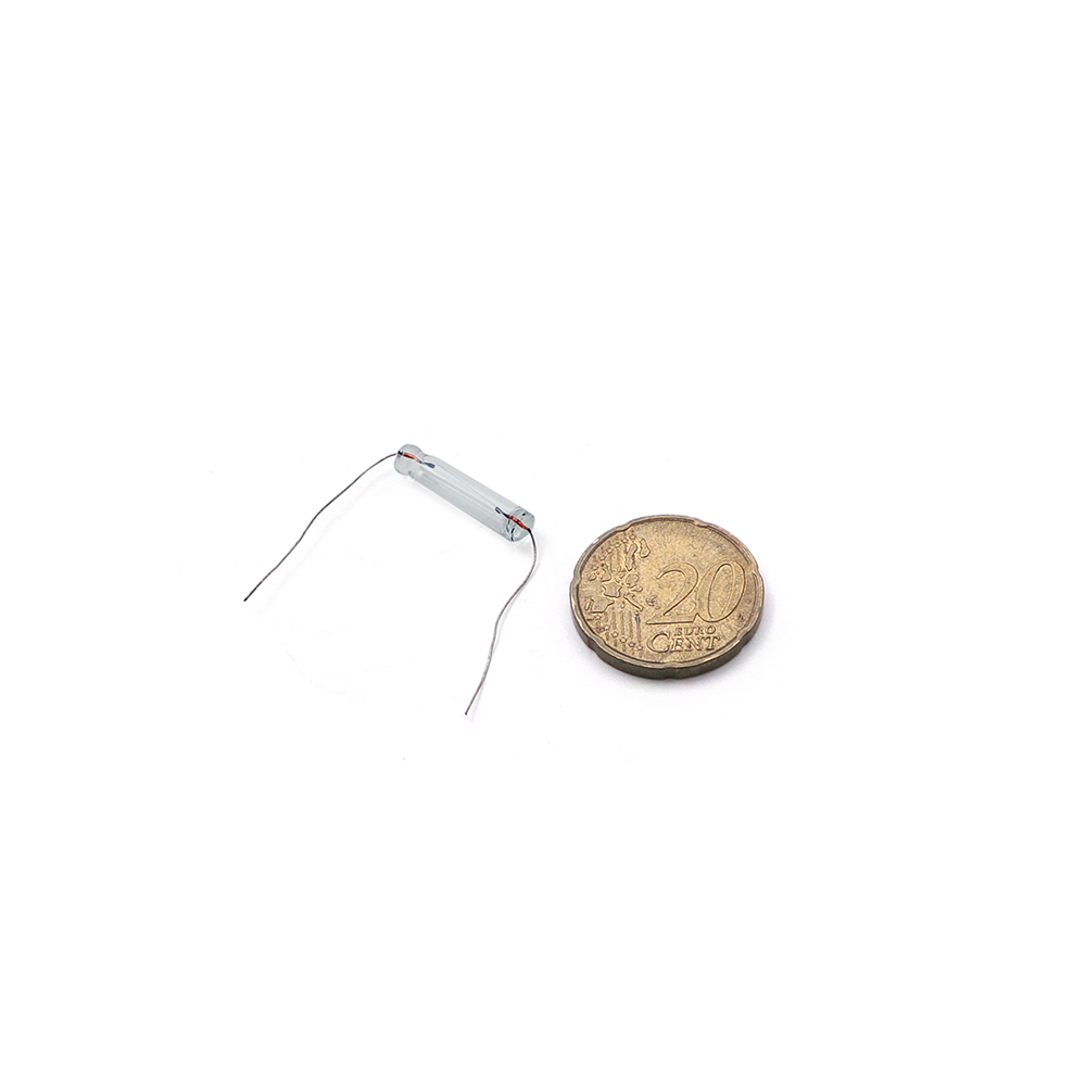 Incandescent Lamp | 2-Pin | 12V | Axial