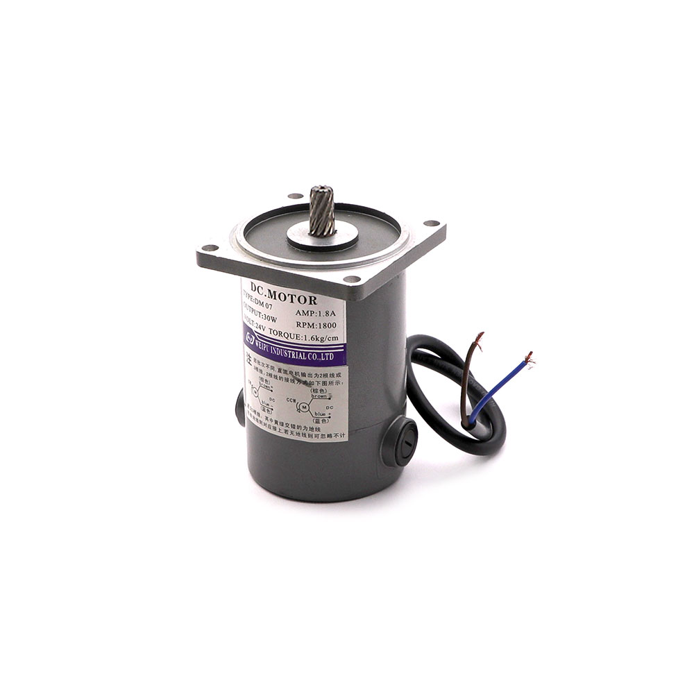 Induction Motor | 24V | 30W