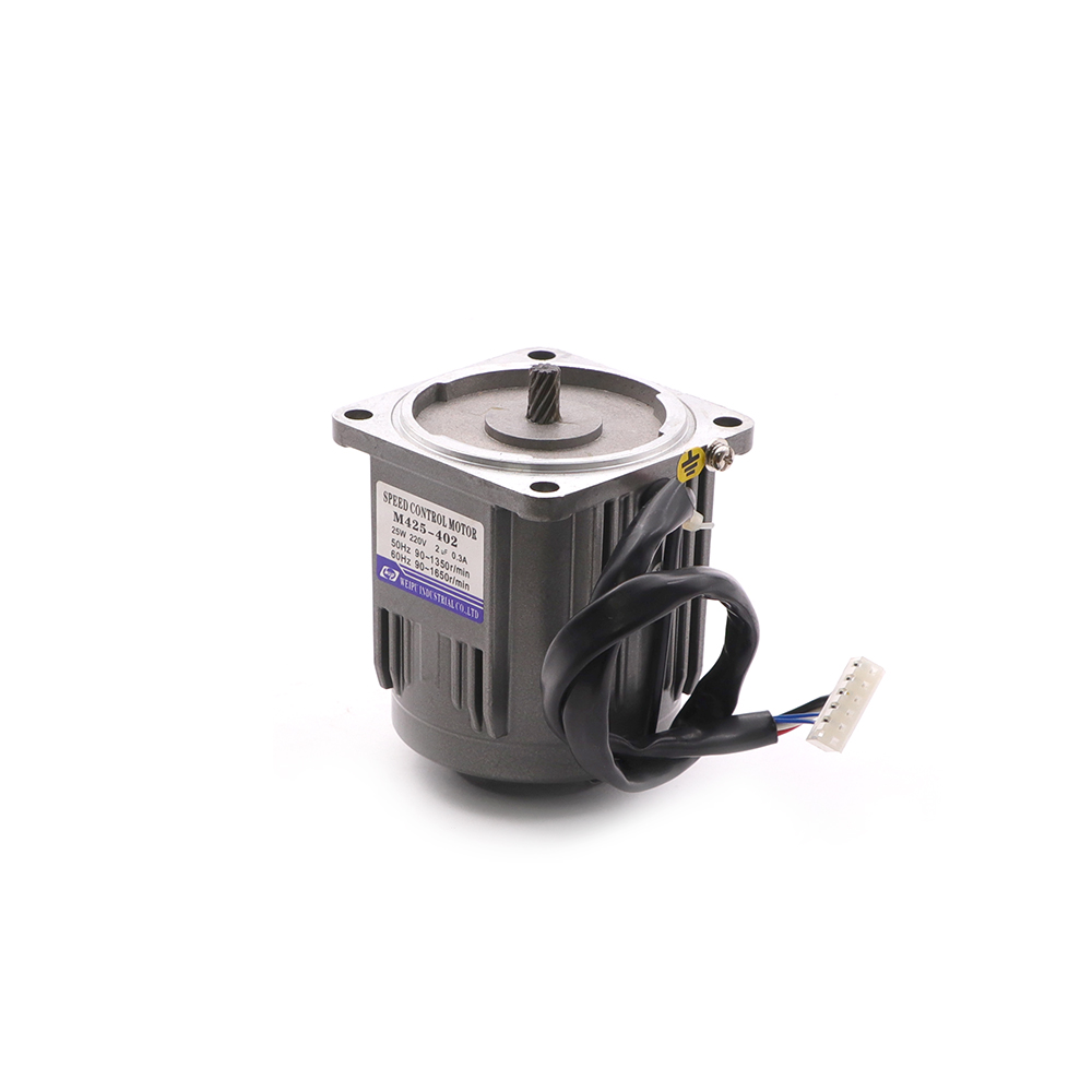 Induction Motor | Reversible | 220V | 25W | SP