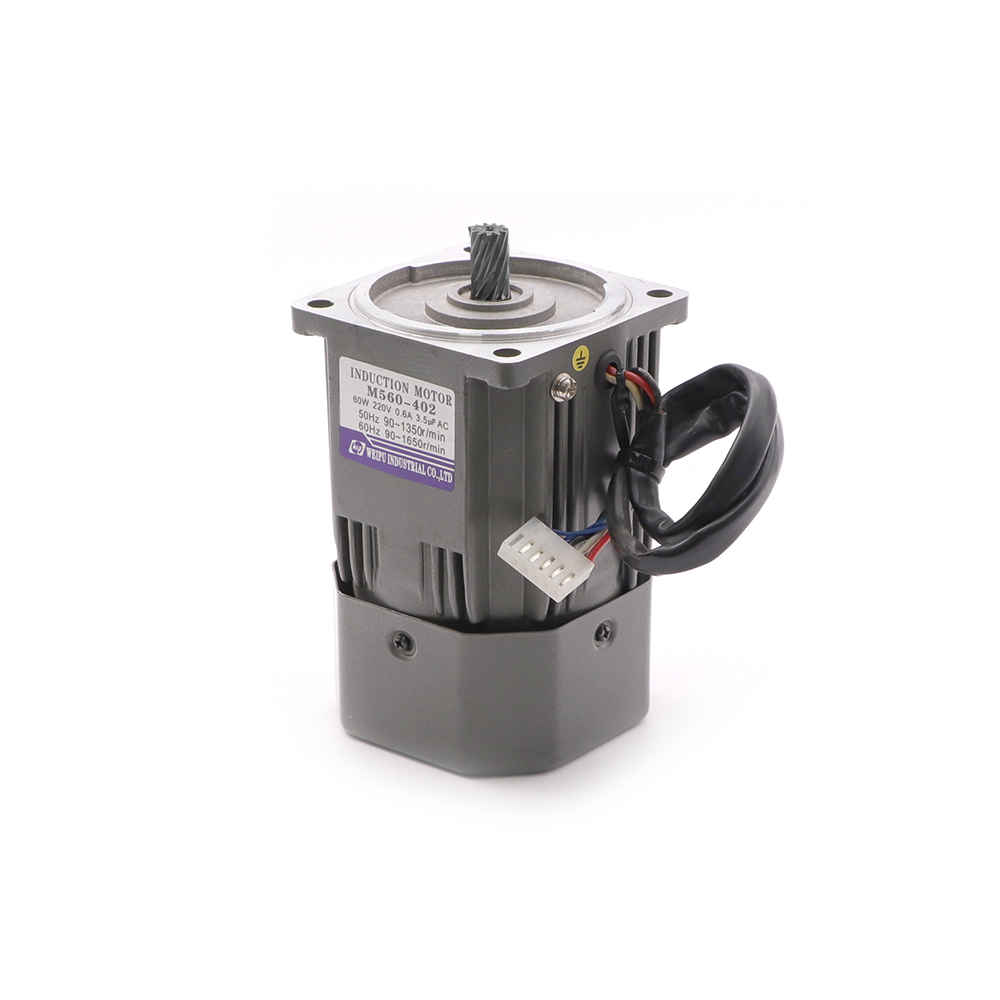 Induction Motor | Reversible | 220V | 60W | SP