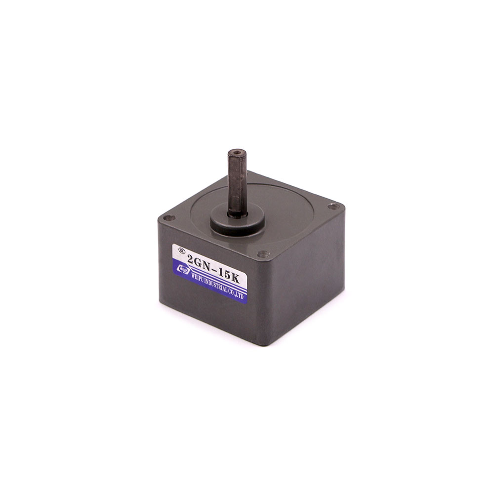 Induction Motor | Gearbox | 2GN | 1:15