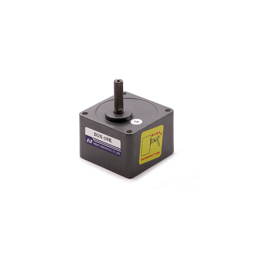 Induction Motor | Gearbox | 2GN | 1:10