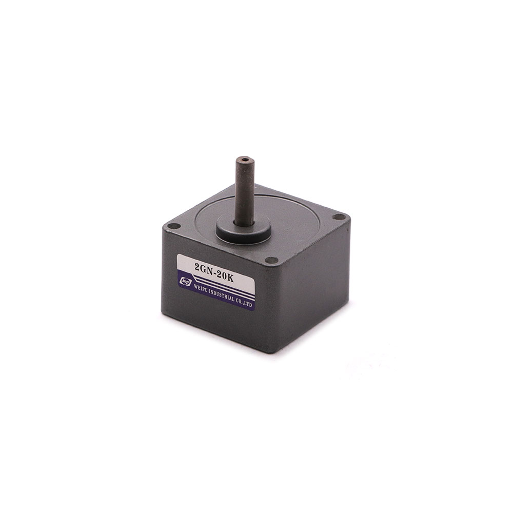 Induction Motor | Gearbox | 2GN | 1:20