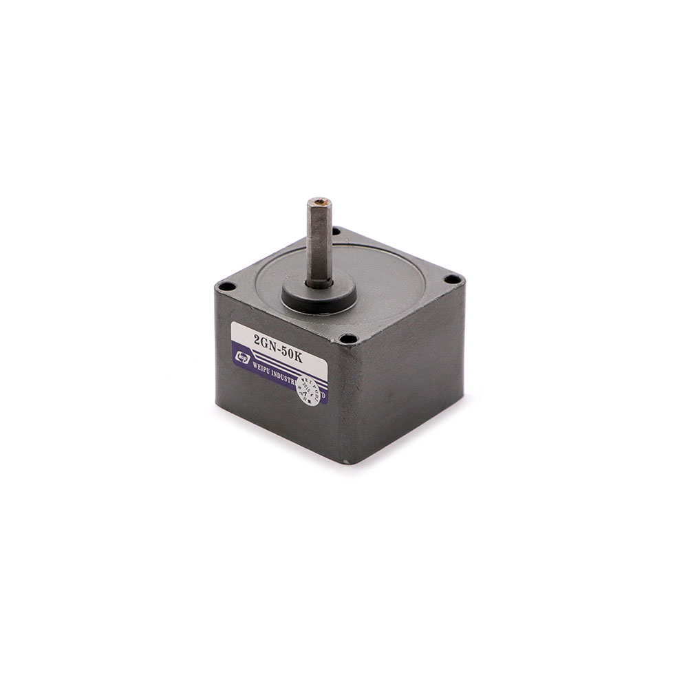 Induction Motor | Gearbox | 2GN | 1:50