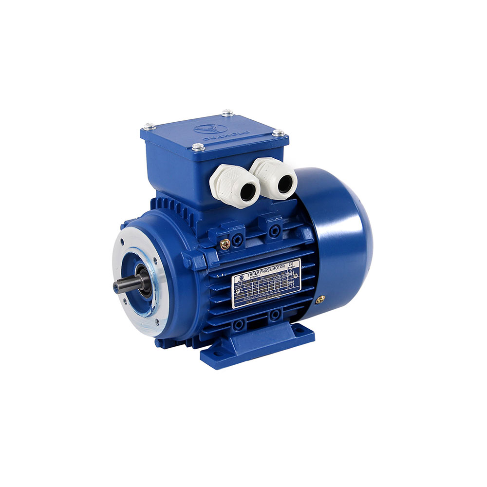 Induction Motor | Three Phase | 220 - 380V | 0.12HP | 1400RPM B34
