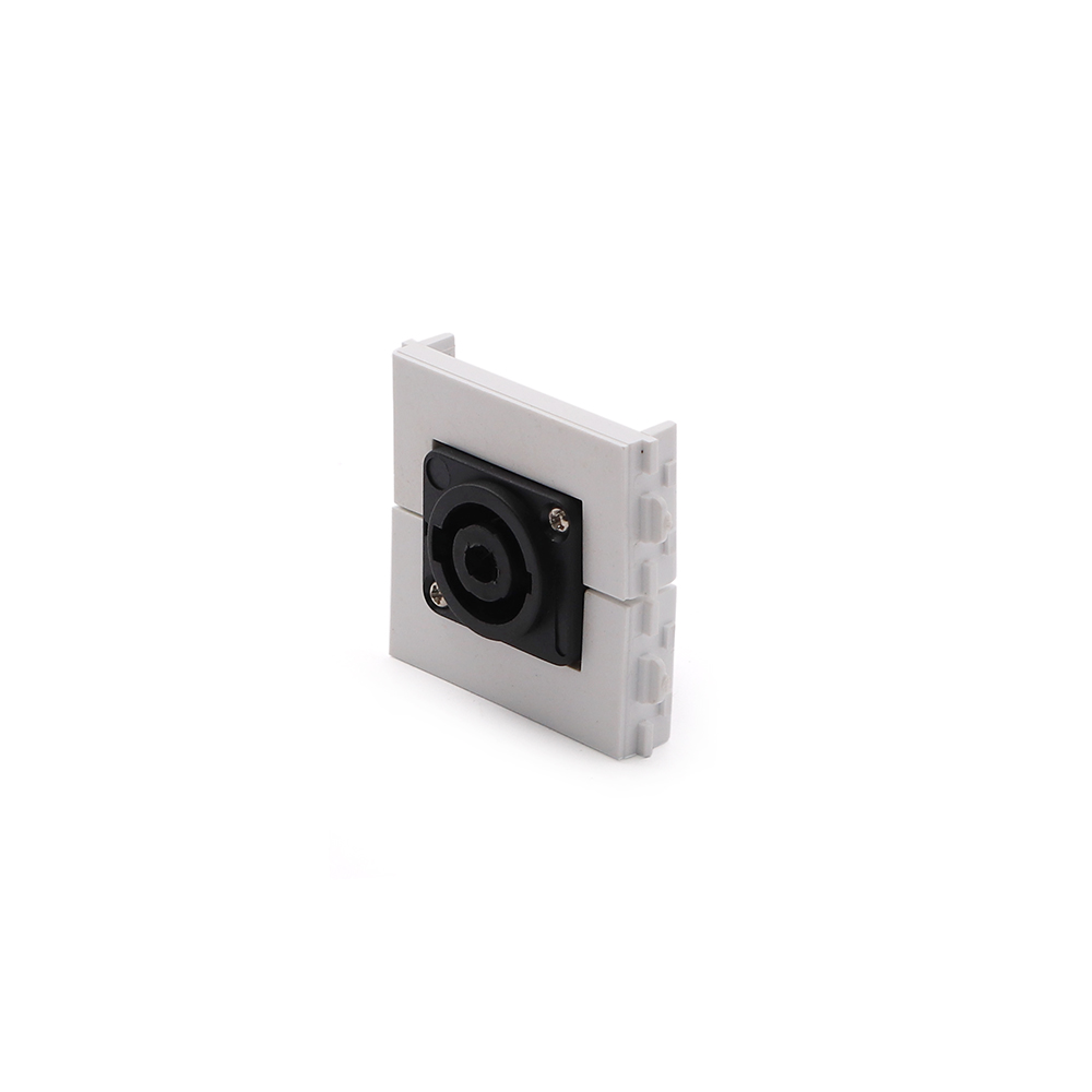 Wall Plate Module | Speakon | Model B