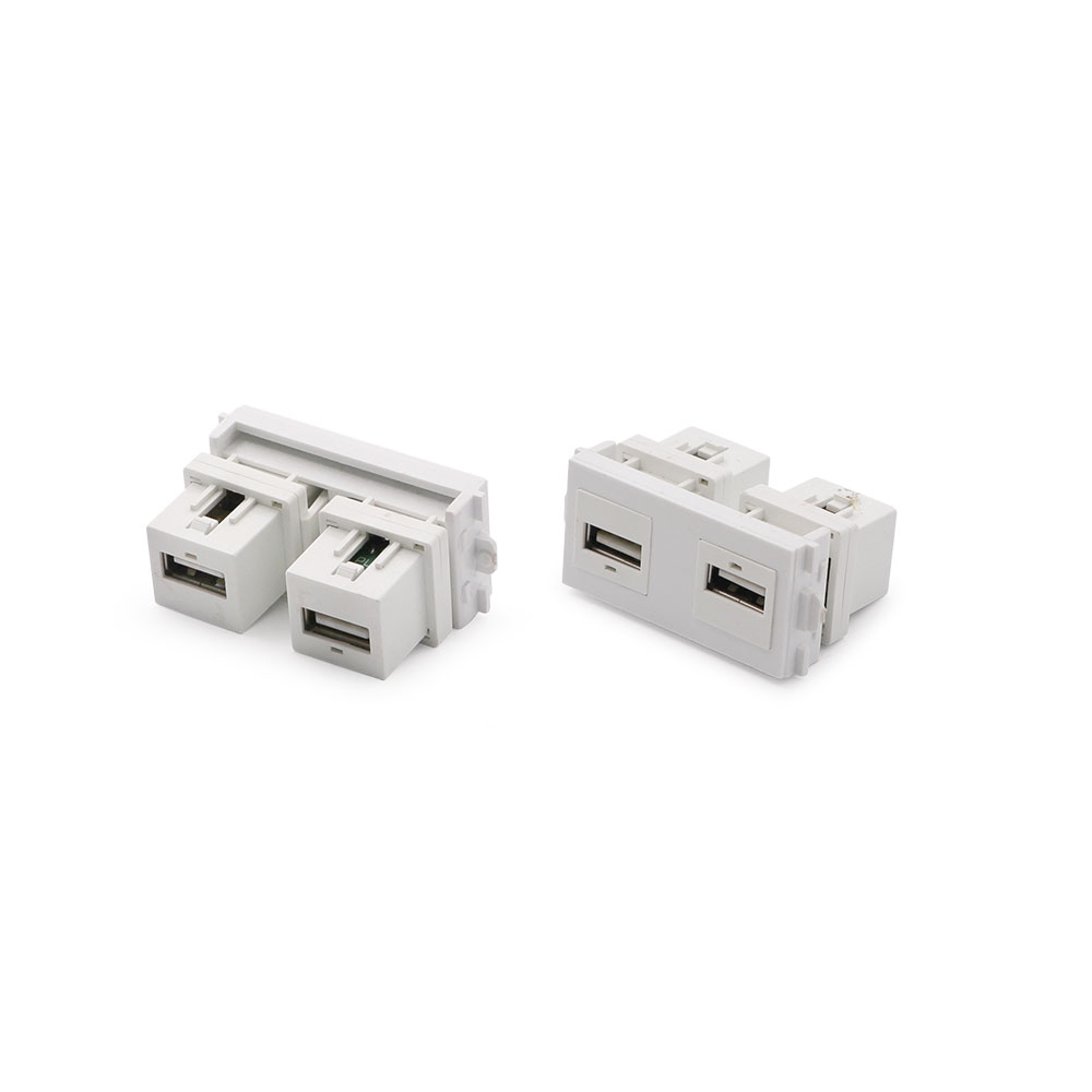 Wall Plate Module | 2x USB | Model B