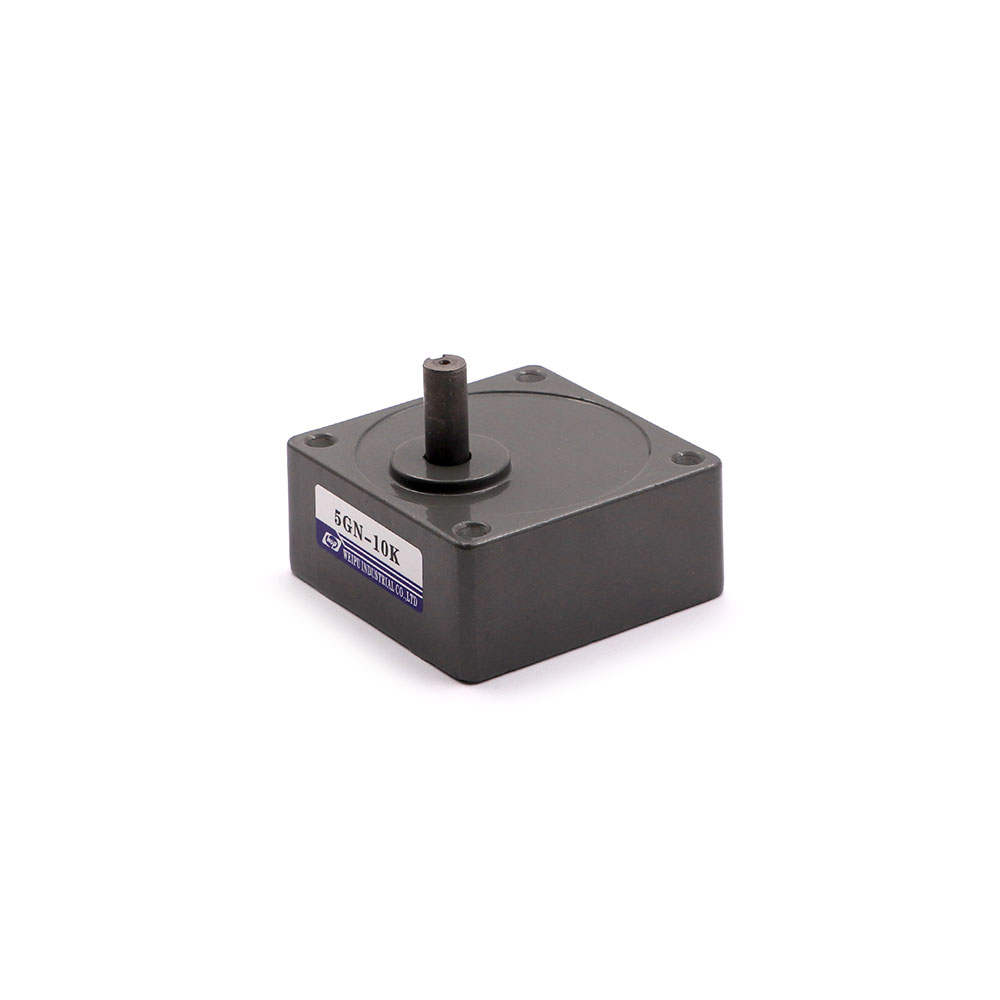 Induction Motor | Gearbox | 5GN | 1:10