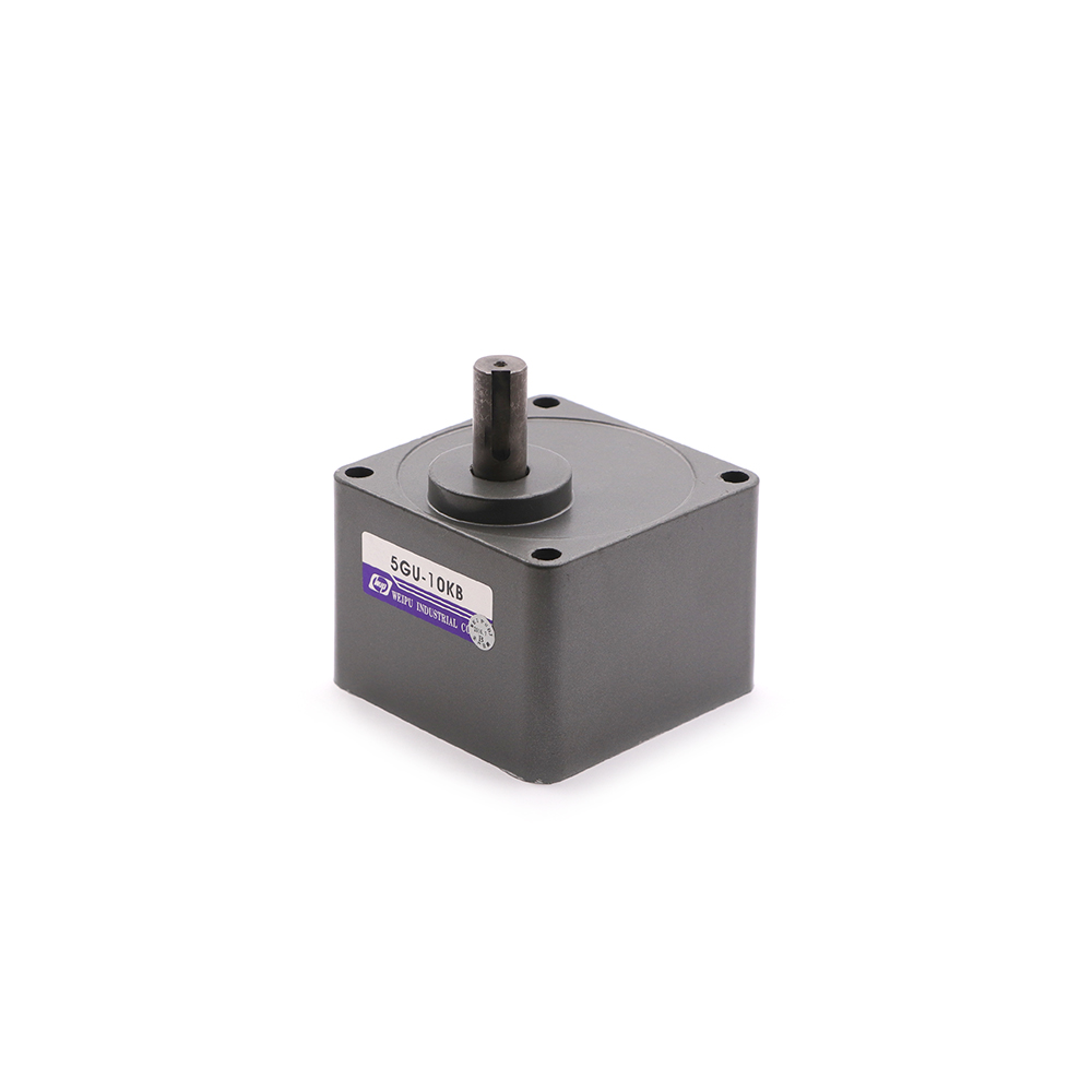 Induction Motor | Gearbox | 5GU | 1:10