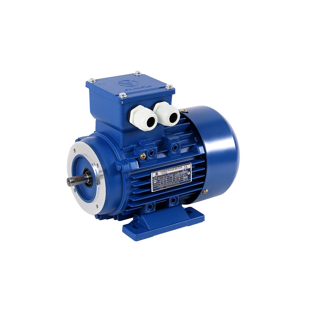 Induction Motor | Three Phase | 220 - 380V | 0.25HP | 1400RPM B34