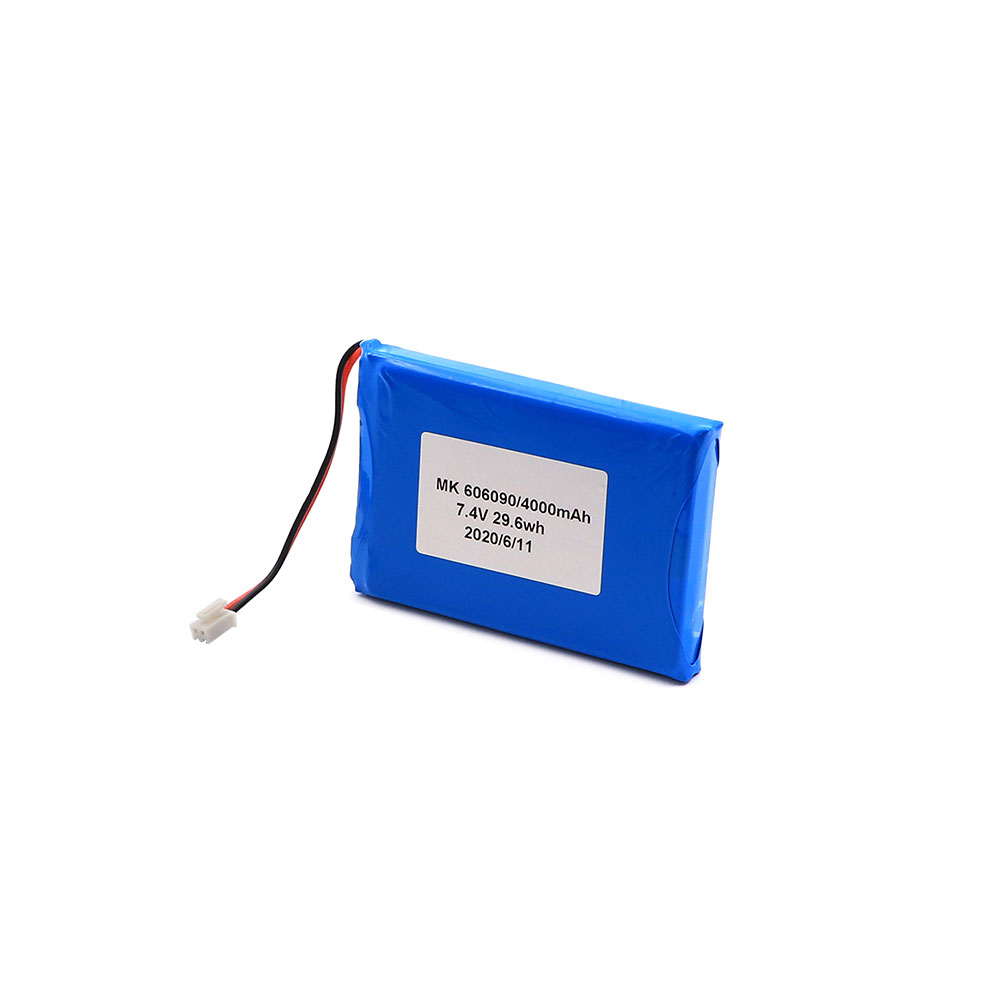 Satellite Meter Spare Parts | Battery | Satlink WS-6906