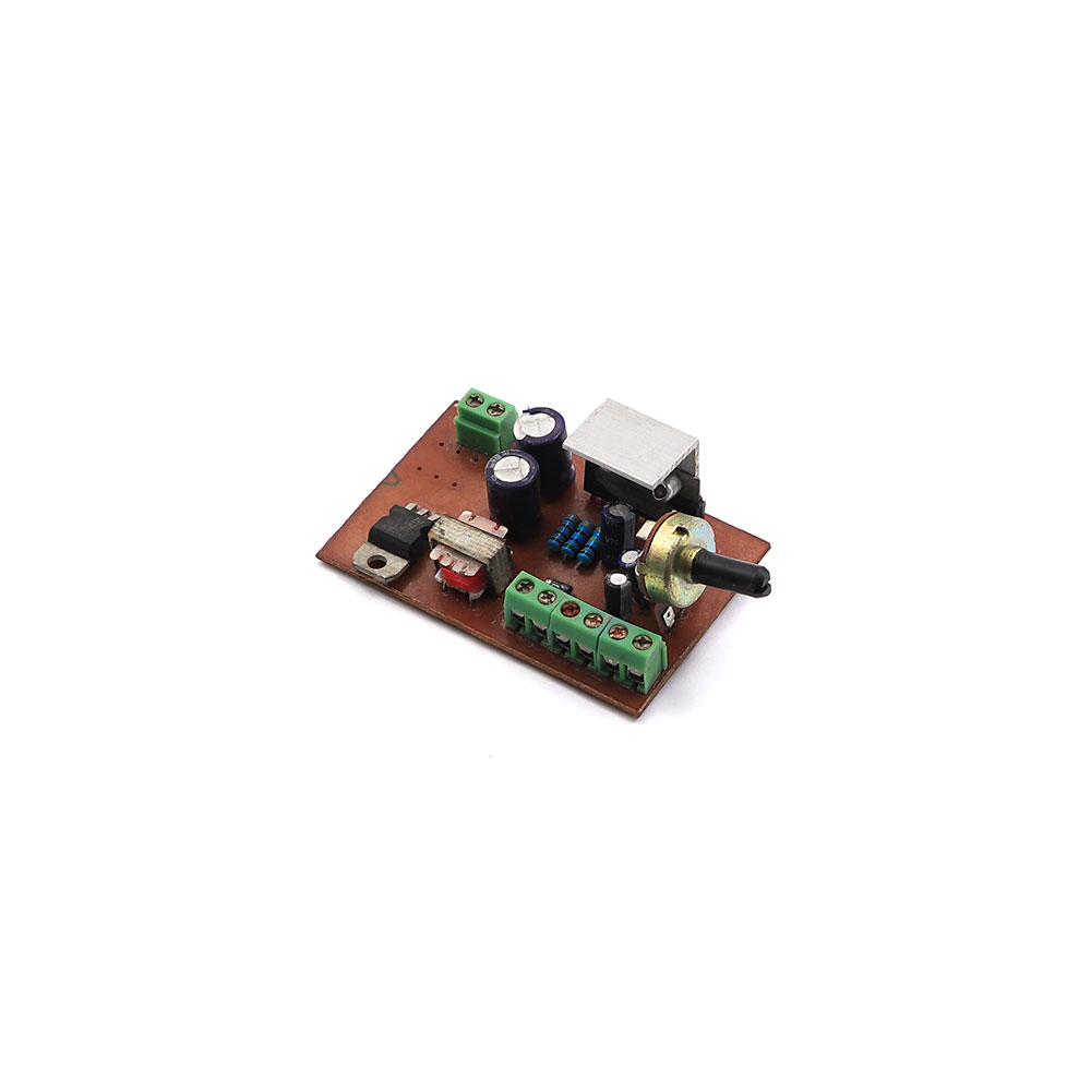 Bird Amplifier PCB | 3-6V DC | 120W