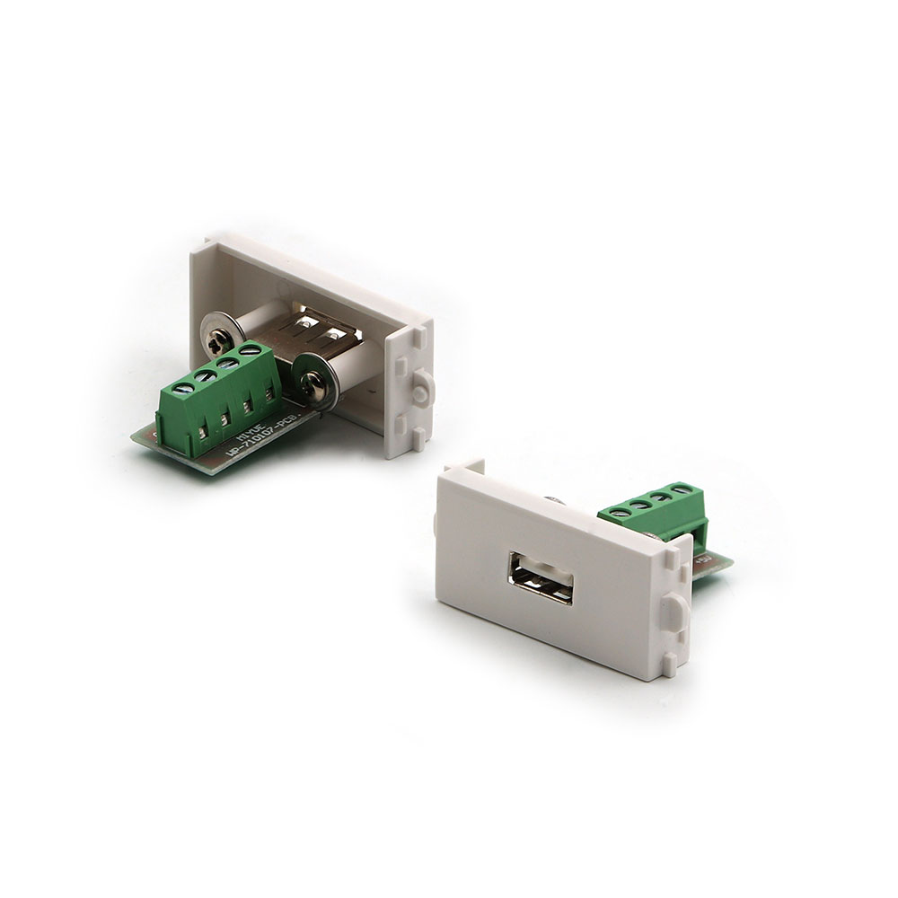 Wall Plate Module | USB Modular | Model A