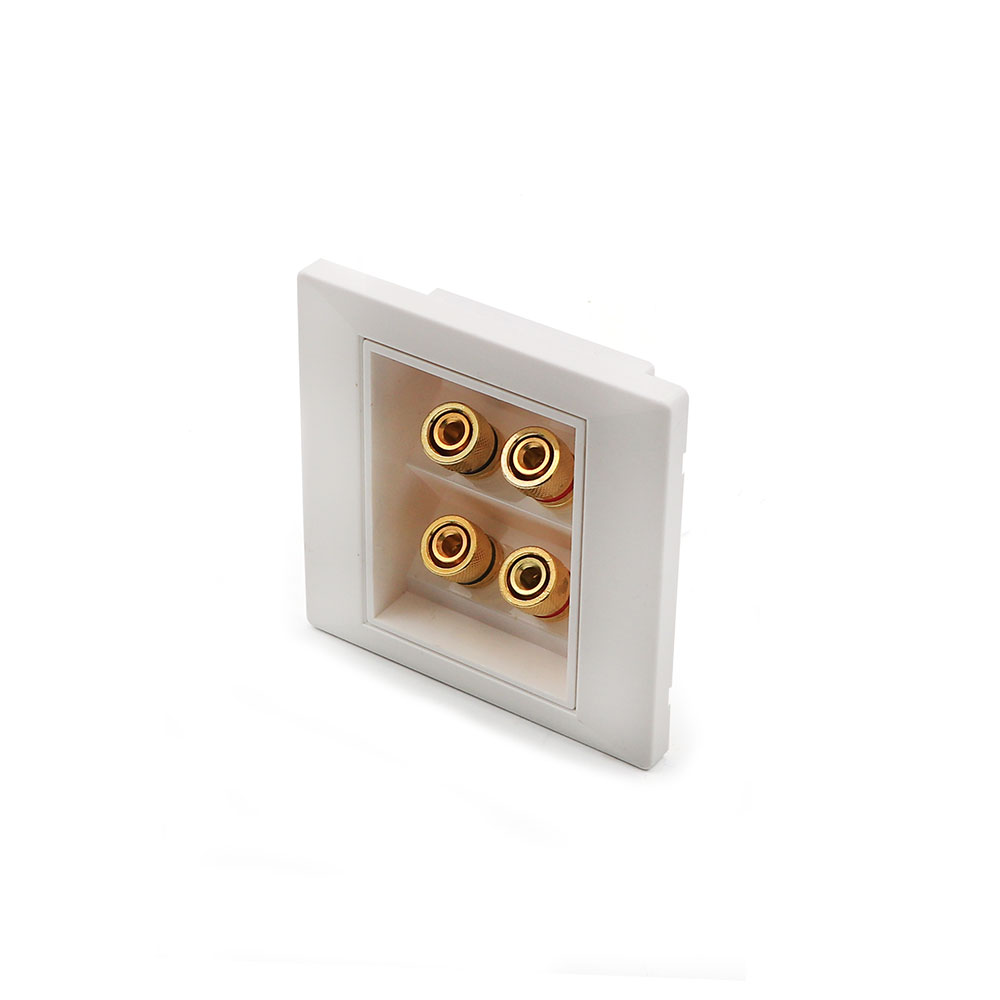Wall Plate Module | 4x Speaker Modular