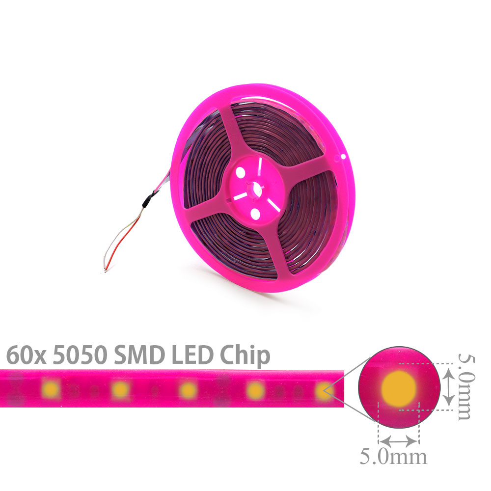 LED Strip Outdoor | Colored | 12V DC 14W | 5050 | Pink | 60x LED Per Meter| 5M