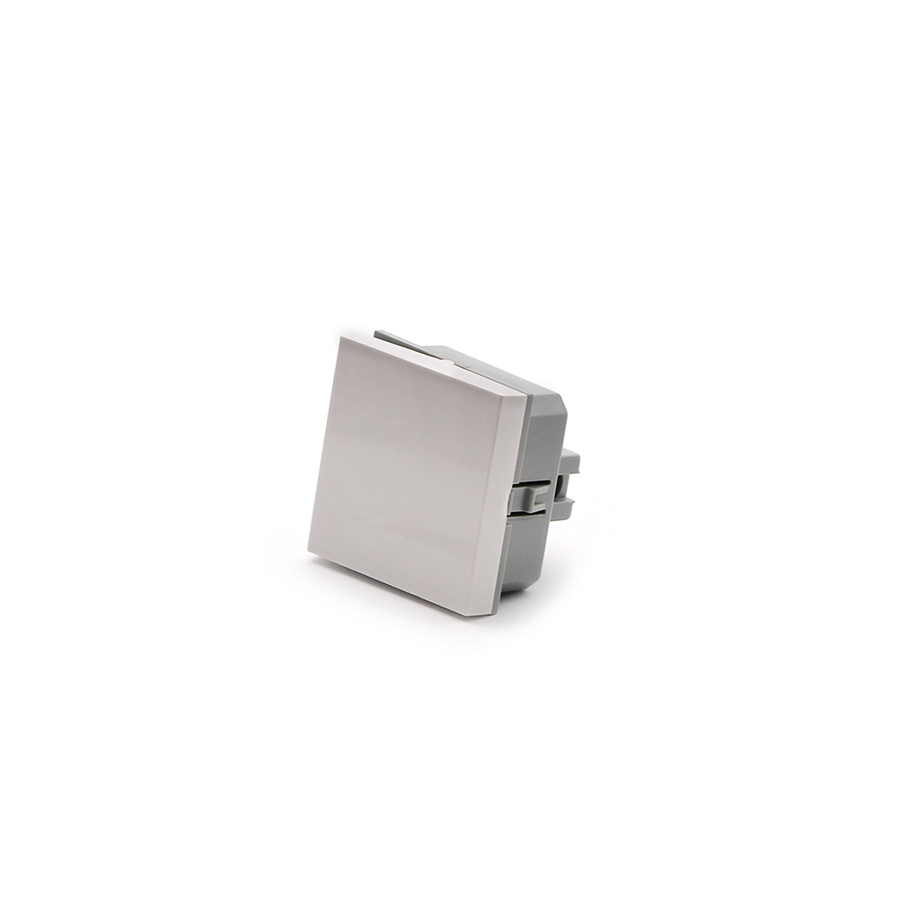 Wall Plate Module | Switch | Big