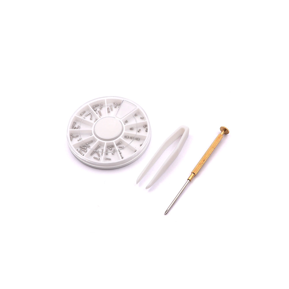 Assortment Kit Screw | Watch | Silver 100pcs