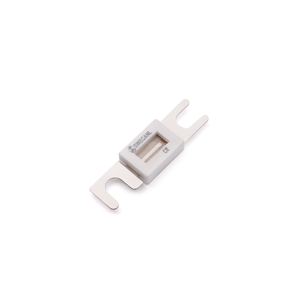 Battery Fuse | 80V DC | 100A
