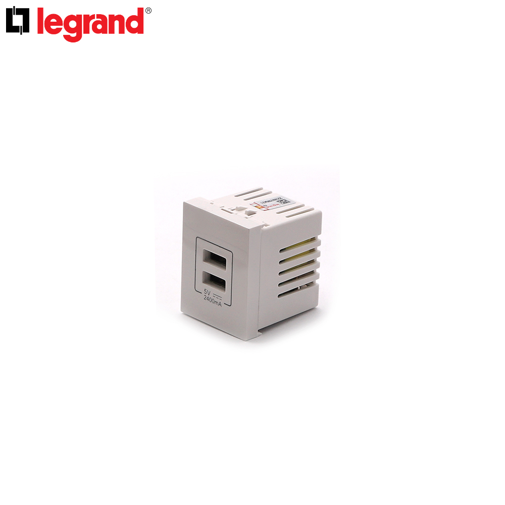 Wall Plate Module | 2x USB | Legrand