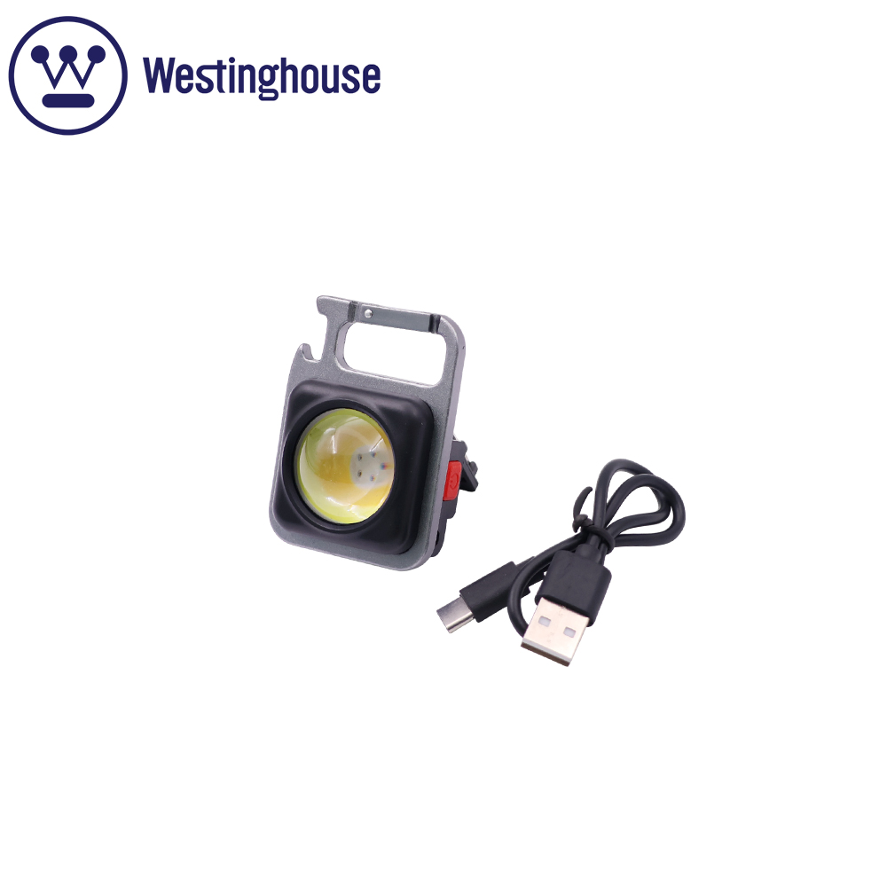 Torch LED Light | KeyChain | COB | Rechargeable | 5W | WF254S
