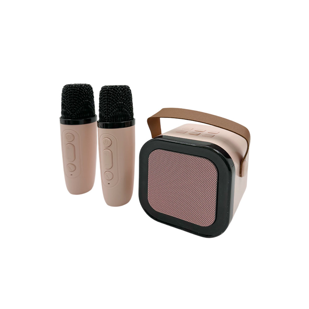 Portable Speaker | Amplifie | USB & Bluetooth & Radio | K12