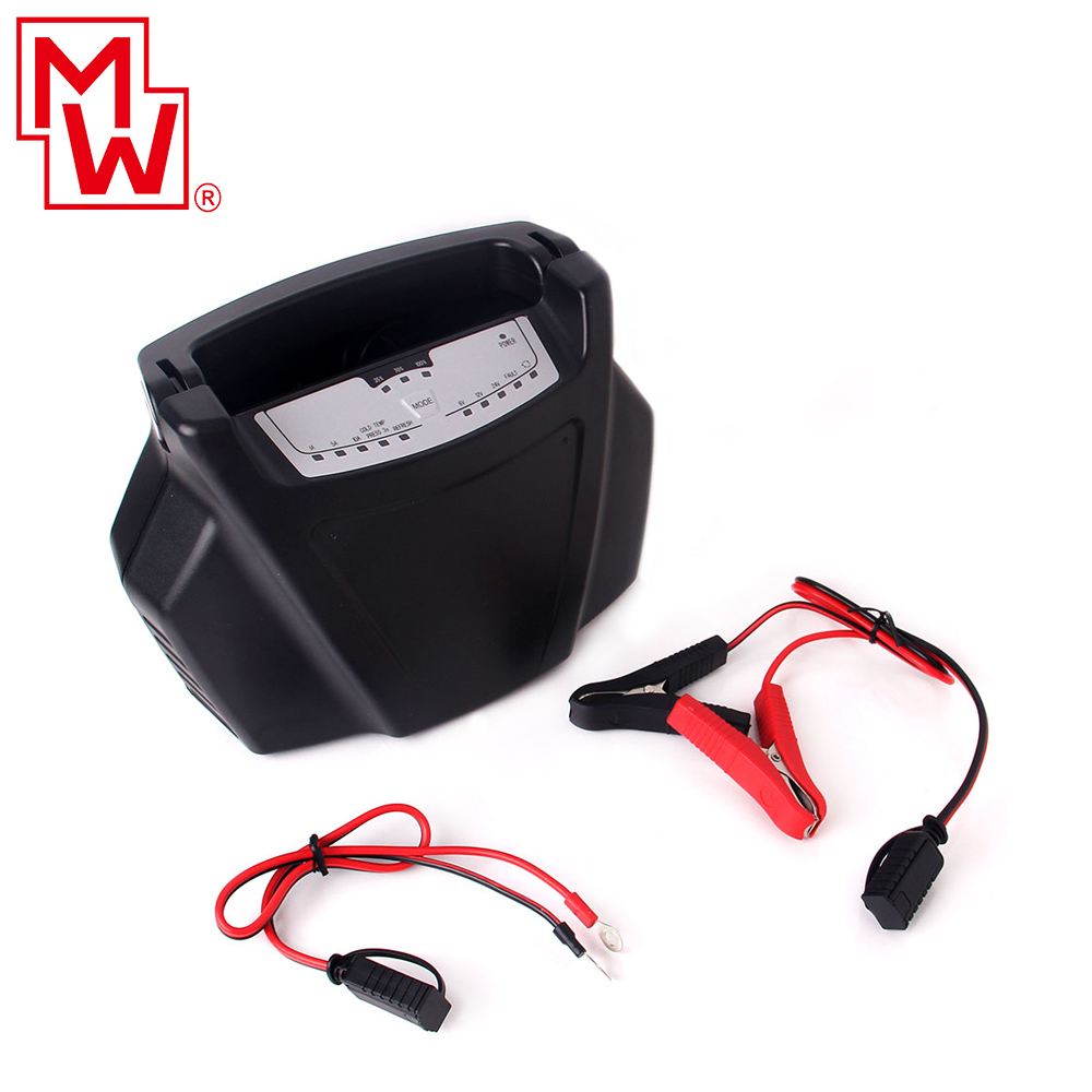 Charger Battery | Lead Acid | Automatic | 6 & 12 & 24V 10A | MW
